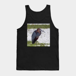 Goliath Heron Tank Top